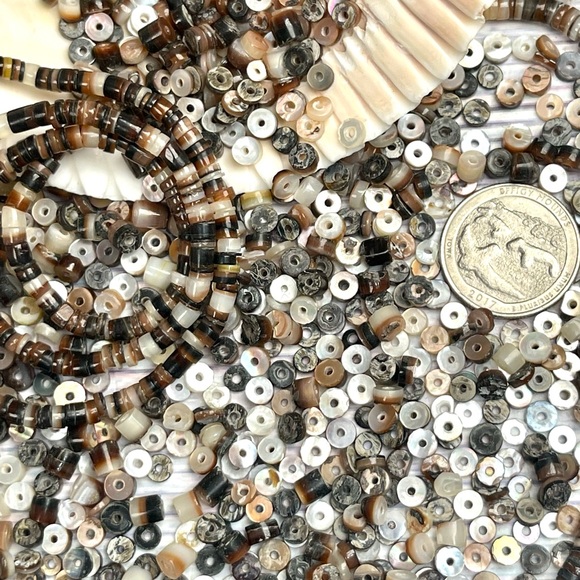 200+ Abalone Mother of Pearl Shell Black Lip Beads Mixed Lot Jewelry Making DIY - Picture 11 of 14